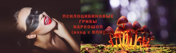 марки lsd Заводоуковск