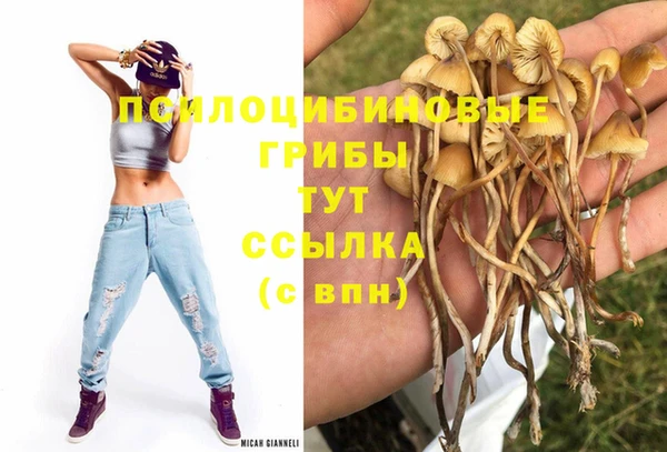 ALPHA-PVP Заволжье