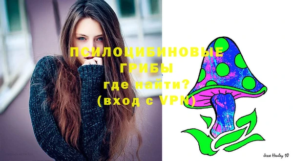 марки lsd Заводоуковск