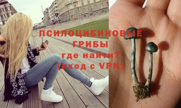 марки lsd Заводоуковск