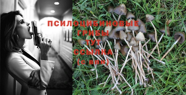 марки lsd Заводоуковск