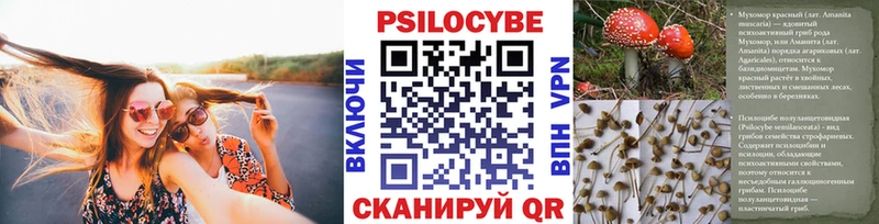Галлюциногенные грибы Psilocybe  kraken вход  Истра 