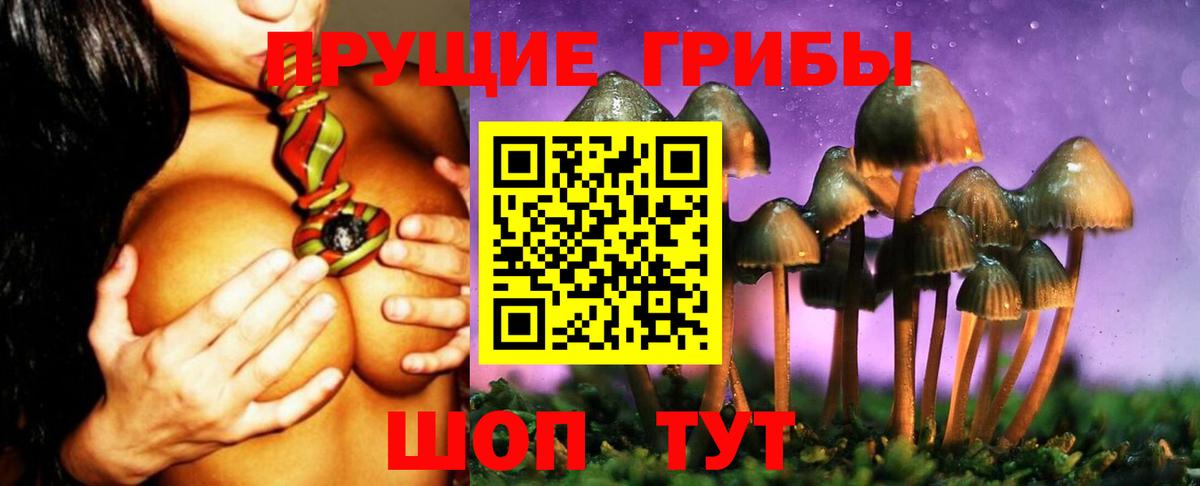 Истра  Галлюциногенные грибы Cubensis  Вход с VPN  Галлюциногенные грибы Psilocybine cubensis 
